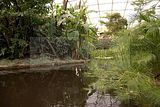 leipzig zoo-01_07_2011_gondwanaland_081
